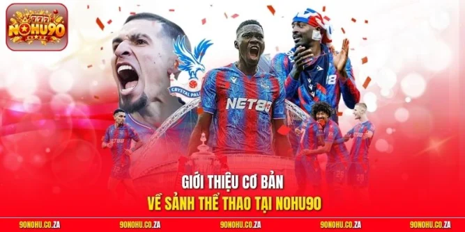 Giới thiệu cơ bản về sảnh thể thao tại Nohu90